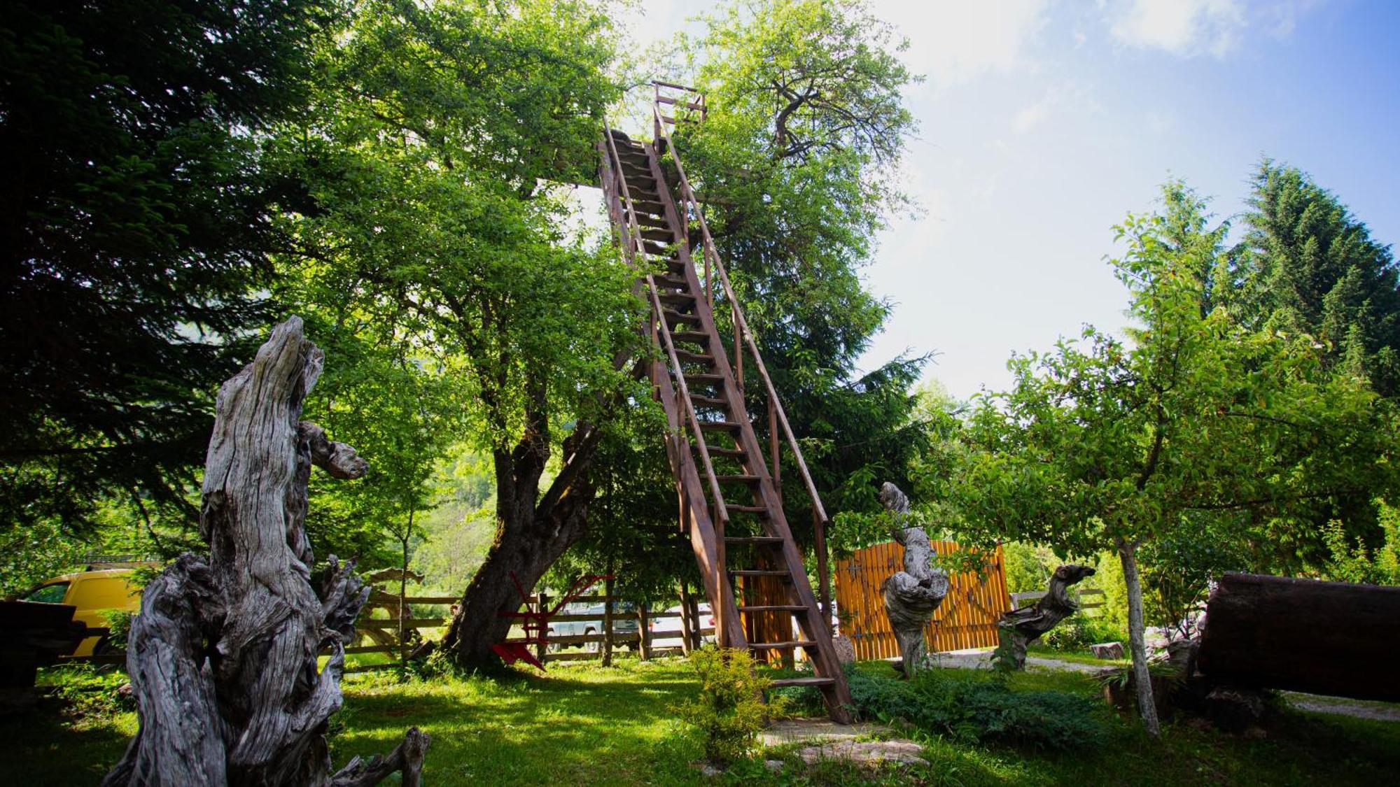 Ethno Village Stitarica Mojkovac Dış mekan fotoğraf