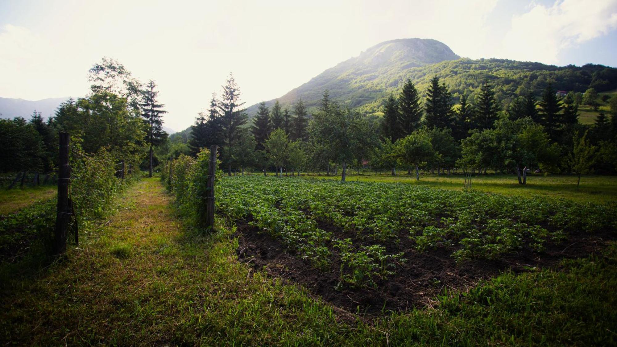 Ethno Village Stitarica Mojkovac Dış mekan fotoğraf