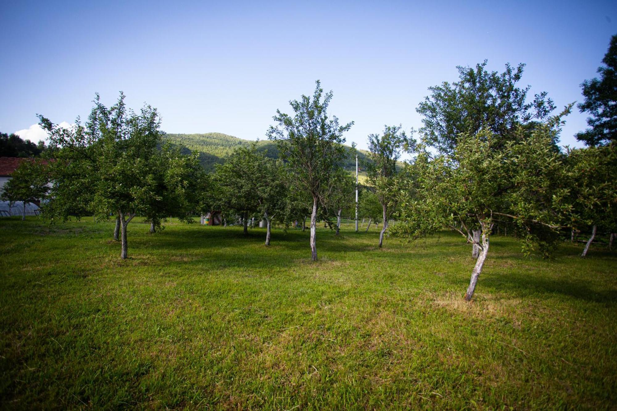 Ethno Village Stitarica Mojkovac Dış mekan fotoğraf
